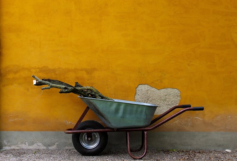 Wheelbarrow in a garden