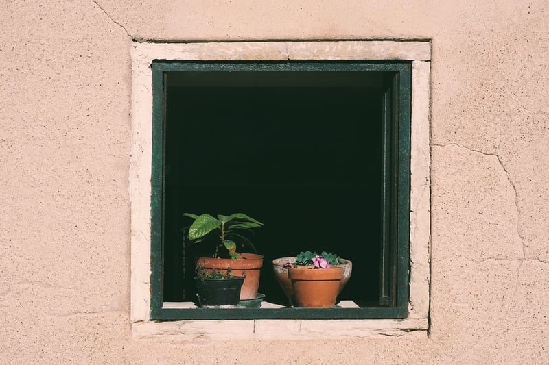 Window Sill Gardens